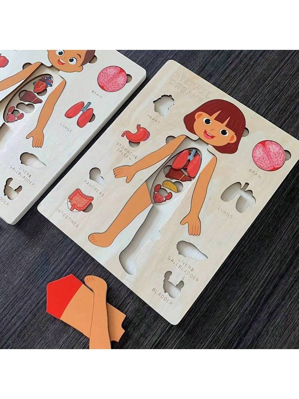 Puzzle en bois sur l'anatomie du corps humain – Image 3