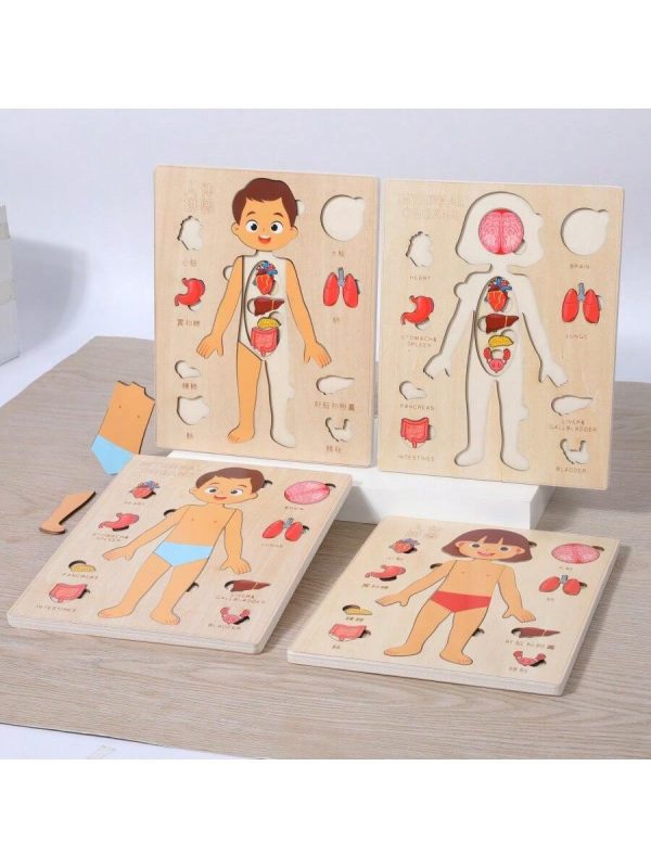 Puzzle en bois sur l'anatomie du corps humain – Image 4