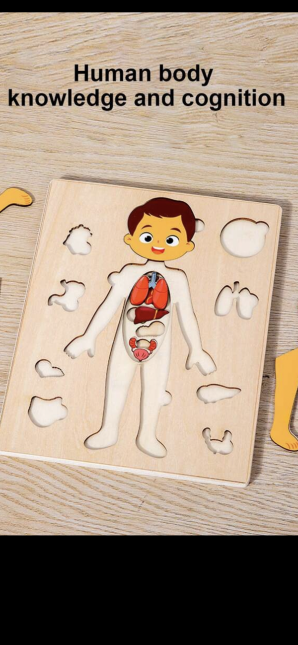 Puzzle en bois sur l'anatomie du corps humain – Image 2